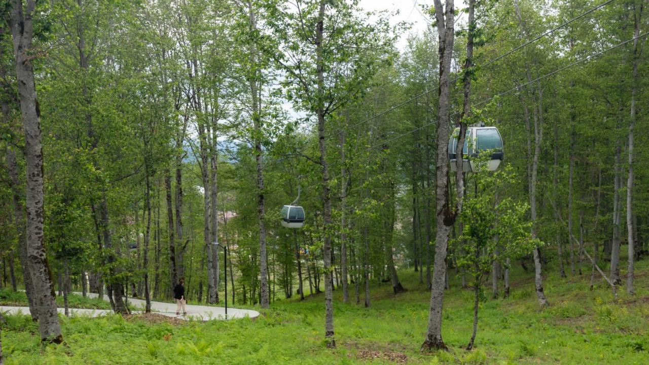 Crystal Town House Βίλα Bakuriani Εξωτερικό φωτογραφία