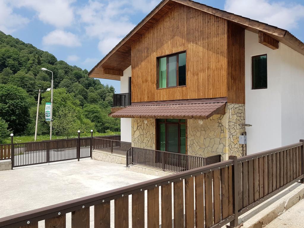 Crystal Town House Βίλα Bakuriani Εξωτερικό φωτογραφία